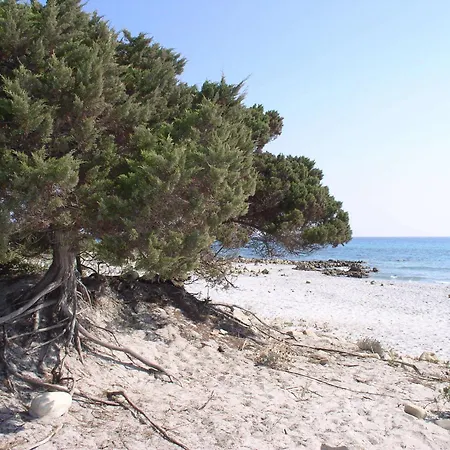 Apartmanhotel Marina Palace 4*