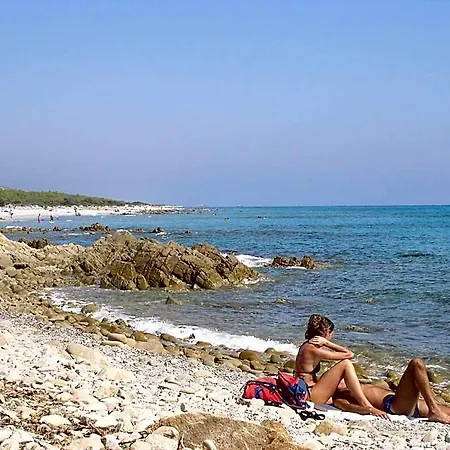 Marina Palace 4* אורוסיי