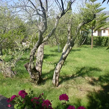 Marina Palace Apartmanhotel