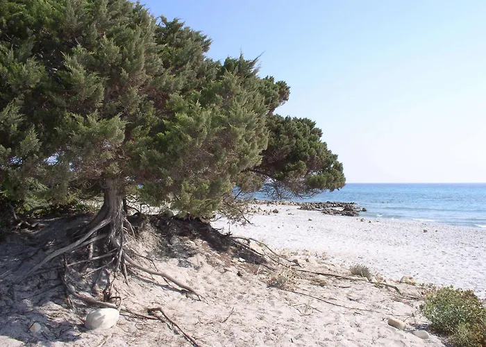 Hotel apartamentowy Marina Palace 4*