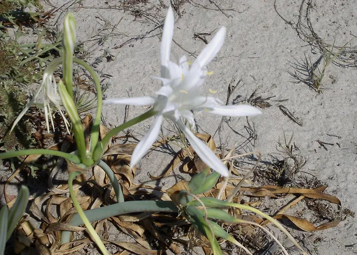 Marina Palace Orosei
