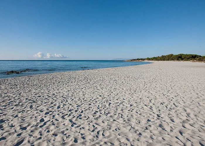 Marina Palace Hotel apartamentowy