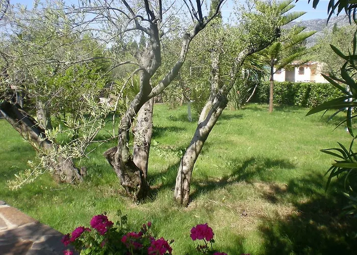 Marina Palace Hotel apartamentowy